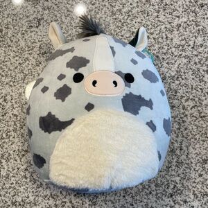 NWT squishmallow